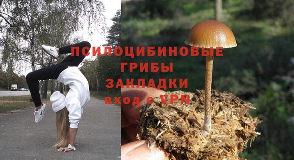 дживик Белоозёрский