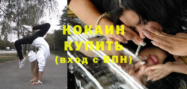 дживик Белоозёрский