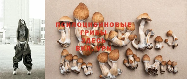 дживик Белоозёрский